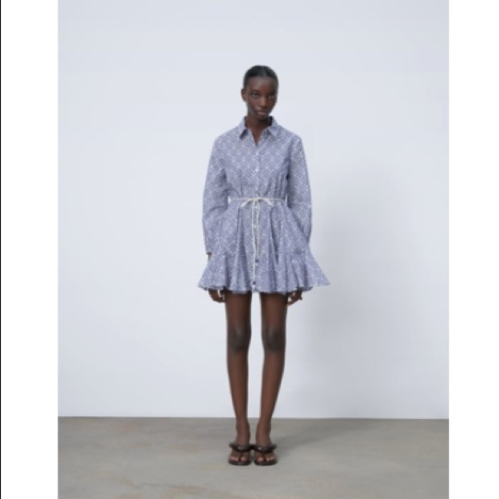 COPY - Zara Printed Dress With Belt